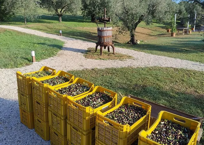 Frutti Antichi - Cassiopea Appartement