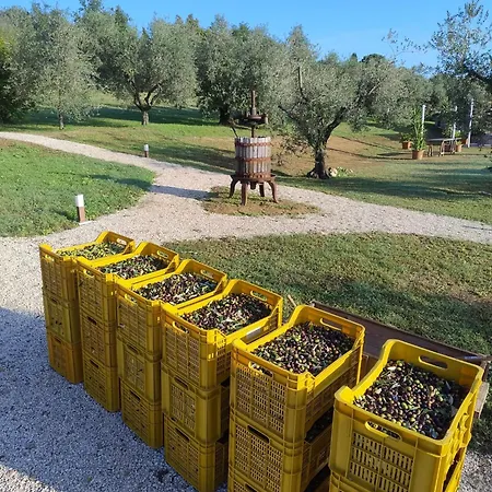 Frutti Antichi - Cassiopea Apartmán
